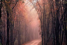 实力不容小觑，女足比赛取得骄人成绩