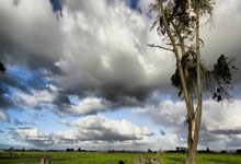 广州恒大客场挑战苏宁：双方实力对比