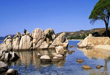 联赛新规定提升了比赛观赏性